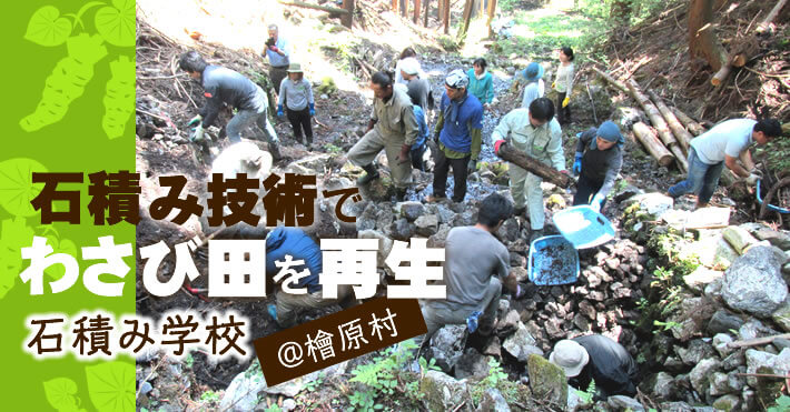 石積み技術でわさび田を再生　石積み学校＠檜原村